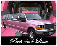 Pink 4x4 graphic