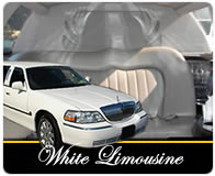 White limos graphic